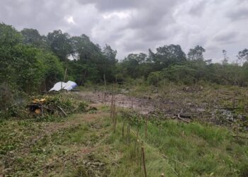 Polícia Militar prende seis homens por crime ambiental na Soledade