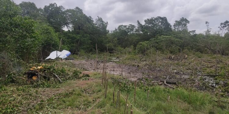 Polícia Militar prende seis homens por crime ambiental na Soledade