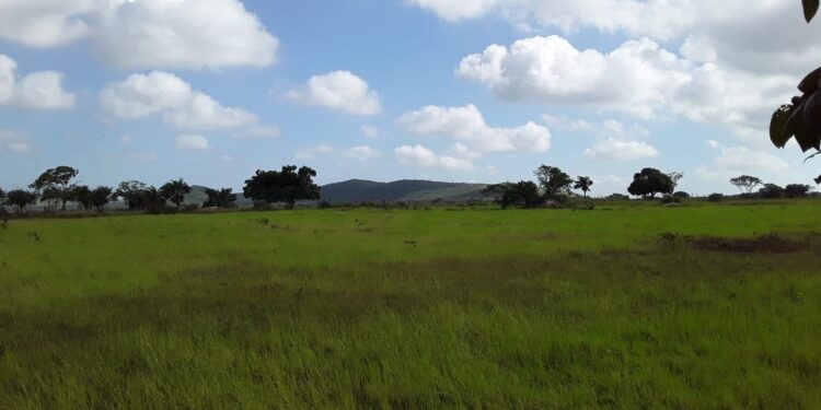 Fim de semana será de tempo parcialmente nublado e temperaturas máximas acima dos 35°C