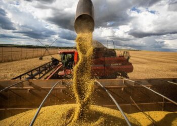 Agronegócio tem superávit de US$ 7,7 bilhões em janeiro deste ano