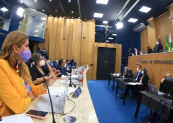 Linda Brasil reforça a importância da derrubada do veto à emenda de Energia Solar em Prédios Públicos de Aracaju