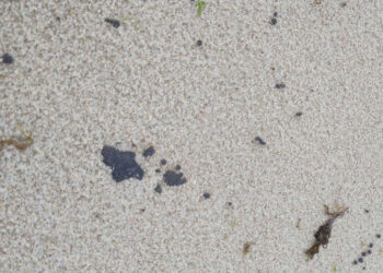 Pelo menos 64 praias do Ceará com presença de mancha de óleo vinda do mar