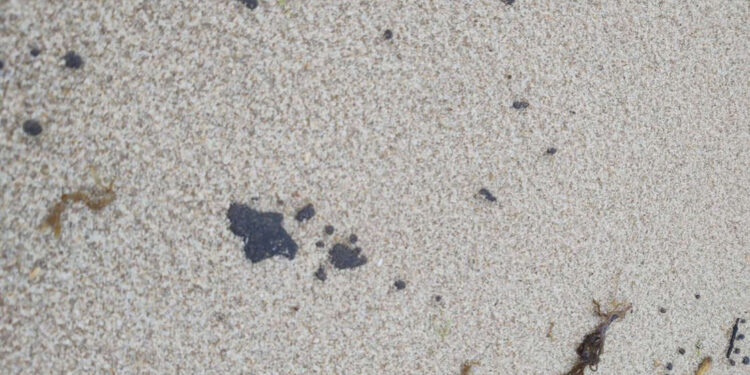 Pelo menos 64 praias do Ceará com presença de mancha de óleo vinda do mar