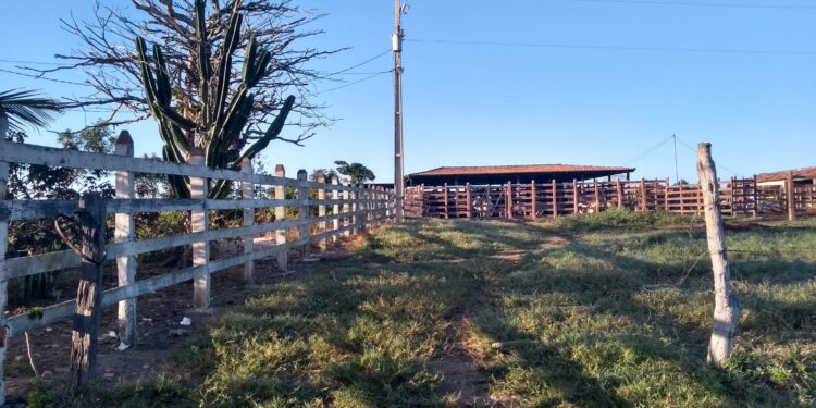 Produtores rurais podem ser beneficiados com a tarifa rural