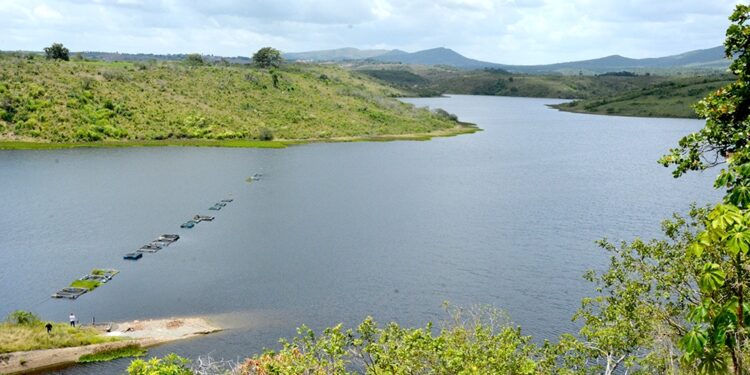 Congresso em Pauta destaca proibição das privatizações dos recursos hídricos do Brasil