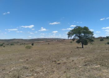 Céu aberto e calor em todo o Estado predominam no fim de semana
