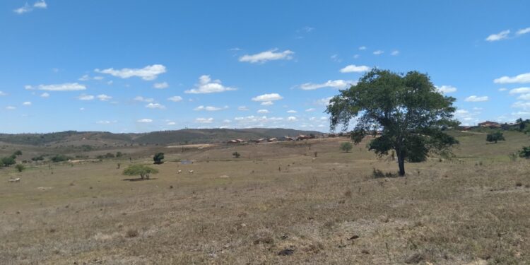 Céu aberto e calor em todo o Estado predominam no fim de semana