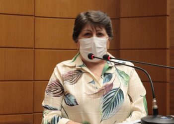 SE deve contar com Comissão em Defesa dos Direitos das Pessoas com Deficiência