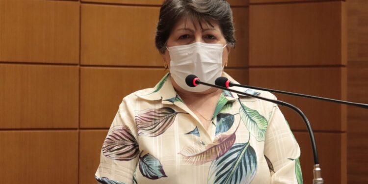 SE deve contar com Comissão em Defesa dos Direitos das Pessoas com Deficiência