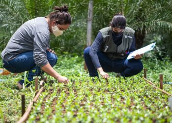 Senar Sergipe abre inscrições para cadastro reserva de Técnico de Campo