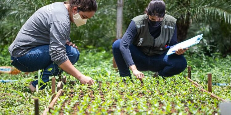 Senar Sergipe abre inscrições para cadastro reserva de Técnico de Campo