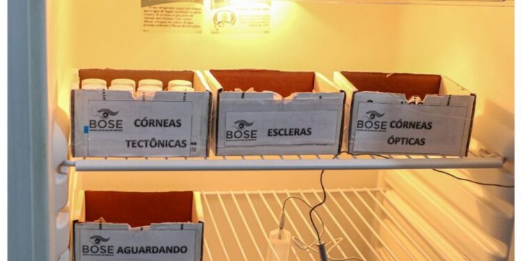 Sergipe realiza mais de 1500 transplantes de córnea