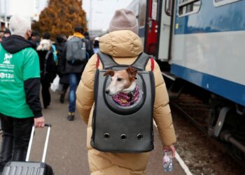 PF: Brasil já recebeu 894 ucranianos desde a invasão russa no país