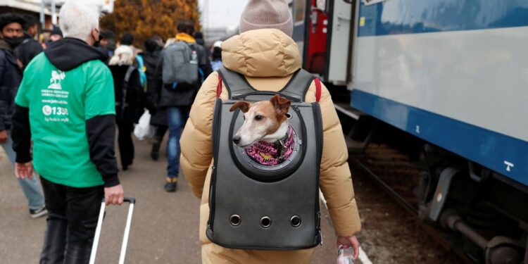 PF: Brasil já recebeu 894 ucranianos desde a invasão russa no país