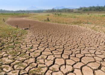 Poço Verde e Nossa Senhora da Glória decretam situação de emergência por causa da seca