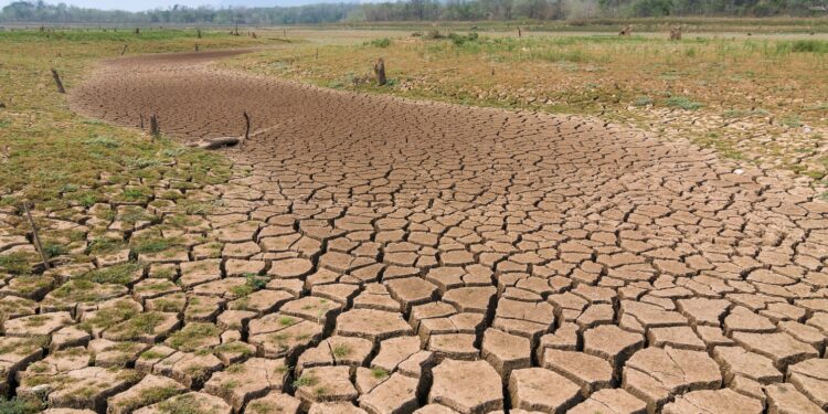 Poço Verde e Nossa Senhora da Glória decretam situação de emergência por causa da seca