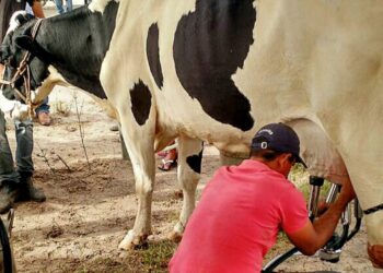 Governo de Sergipe paga última parcela do Mão Amiga Bacia Leiteira nesta quarta
