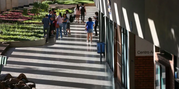 MEC divulga resultado da segunda chamada do Prouni