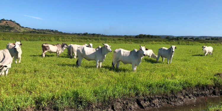 Senar Sergipe abre credenciamento para Assistência Técnica e Gerencial aos produtores rurais