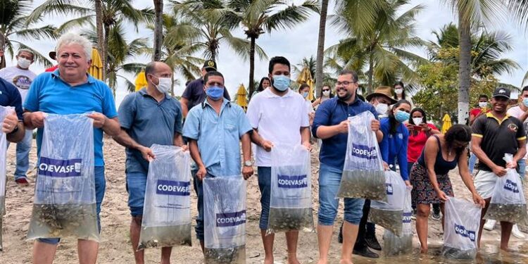 Parceria entre a Prefeitura de Estância e CODEVASF fazem peixamento com cerca de 50 mil alevinos na Lagoa dos Tambaquis