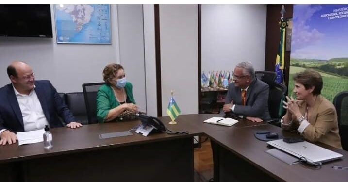 Ministra virá a SE entregar títulos de posse às famílias assentadas no Jacaré-Curituba