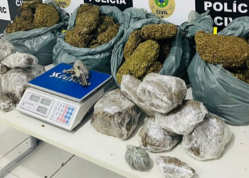 Polícia Civil apreende grande quantidade de maconha “skank” no bairro Santa Maria