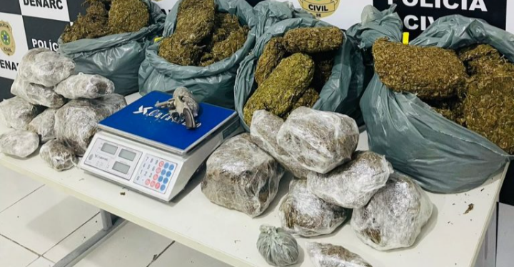 Polícia Civil apreende grande quantidade de maconha “skank” no bairro Santa Maria