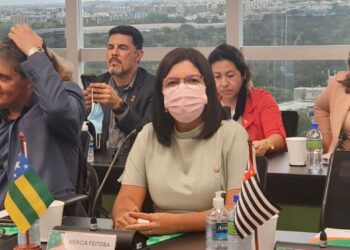 Em Brasília, secretária de Saúde de Sergipe discute agendas com foco no fortalecimento do SUS