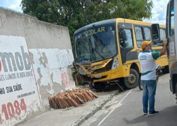 Moita bonita: ônibus do transporte escolar bate em muro de residência