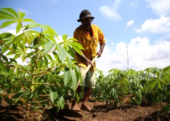 Garantia-Safra prorroga prazo de pagamento de boletos de adesão dos agricultores