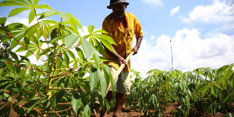 Garantia-Safra prorroga prazo de pagamento de boletos de adesão dos agricultores