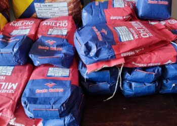 Agricultores de Rosário do Catete recebem uma tonelada de sementes de milho