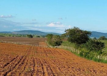 Produtores rurais buscam alternativas para os altos custos e risco de escassez dos fertilizantes