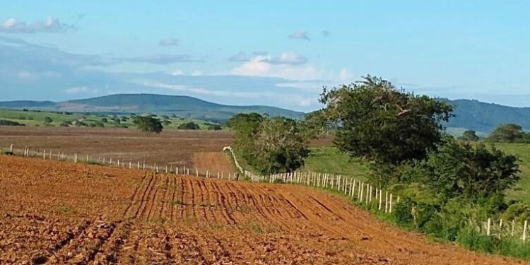 Produtores rurais buscam alternativas para os altos custos e risco de escassez dos fertilizantes