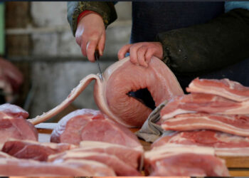 Exportação de carne suína do Brasil sofre com maior produção da China