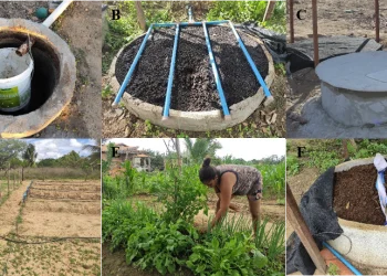 Projeto da Universidade Federal de Sergipe reutiliza água para produção agrícola em assentamento