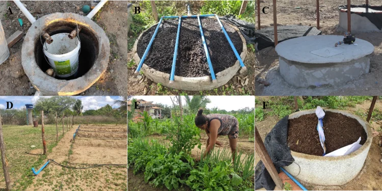 Projeto da Universidade Federal de Sergipe reutiliza água para produção agrícola em assentamento