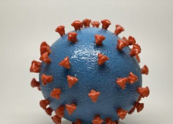 Pesquisa da USP e do Sírio alerta para novas variantes mais transmissíveis do coronavírus