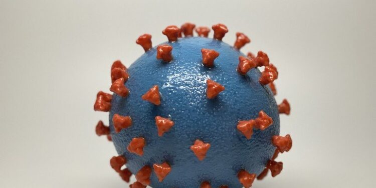 Pesquisa da USP e do Sírio alerta para novas variantes mais transmissíveis do coronavírus