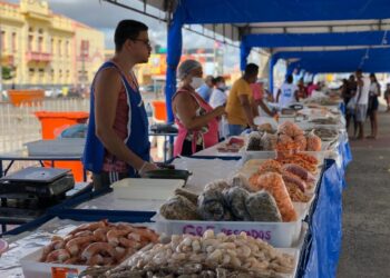 Feira de Pescados acontece nesta semana em Aracaju e será realizada em três pontos da capital