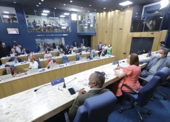Em audiência pública, secretária da Saúde apresenta balancete do 3º quadrimestre