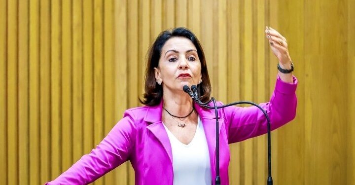 Emília Corrêa: Licitação do transporte público depende de boa vontade, o que não temos na gestão
