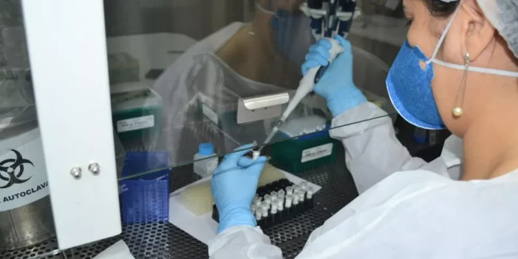 Sergipe registra 13 novos casos de Covid-19 e nenhum óbito nesta quinta