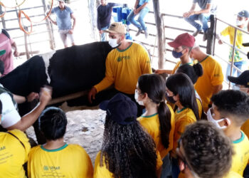 Alunos da rede pública podem se inscrever em projeto de soluções para o campo