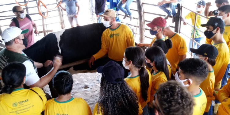 Alunos da rede pública podem se inscrever em projeto de soluções para o campo