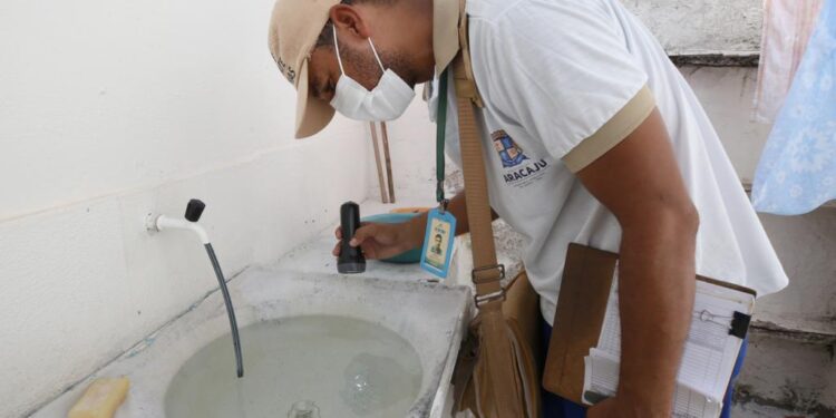 Aedes aegypti: Prefeitura de Aracaju orienta população no combate ao mosquito da dengue