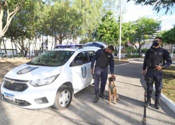 Guarda Municipal prende suspeito de furto a fiação da rede semafórica