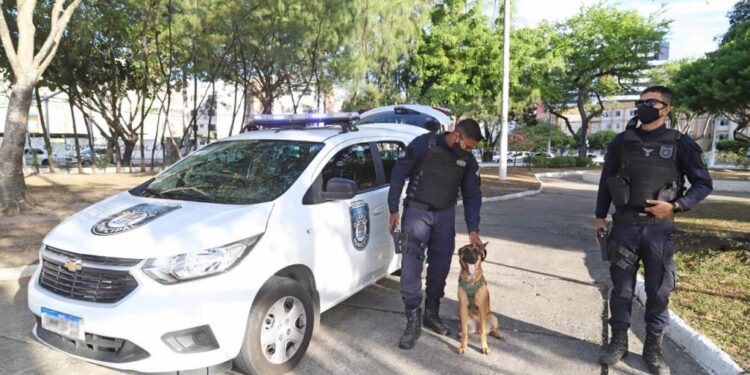 Guarda Municipal prende suspeito de furto a fiação da rede semafórica