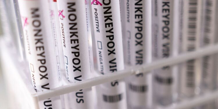 OMS: não há urgência para vacinação contra varíola dos macacos