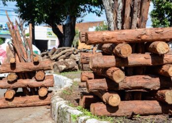 Comerciantes de fogueira e milho devem solicitar uso do espaço público à Emsurb